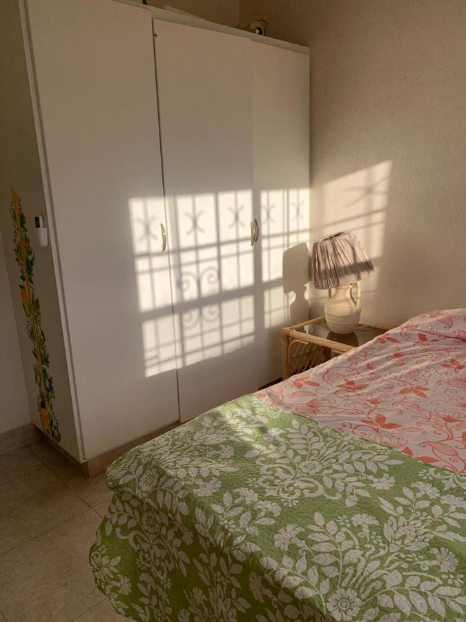 Raivens Nest Bed And Breakfast 크리스트 처치 외부 사진