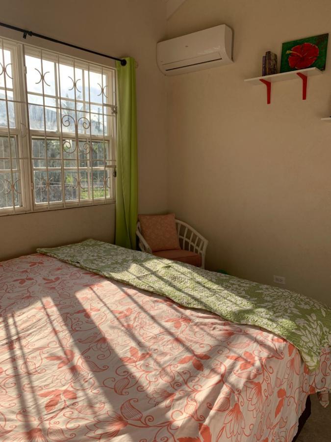 Raivens Nest Bed And Breakfast 크리스트 처치 외부 사진