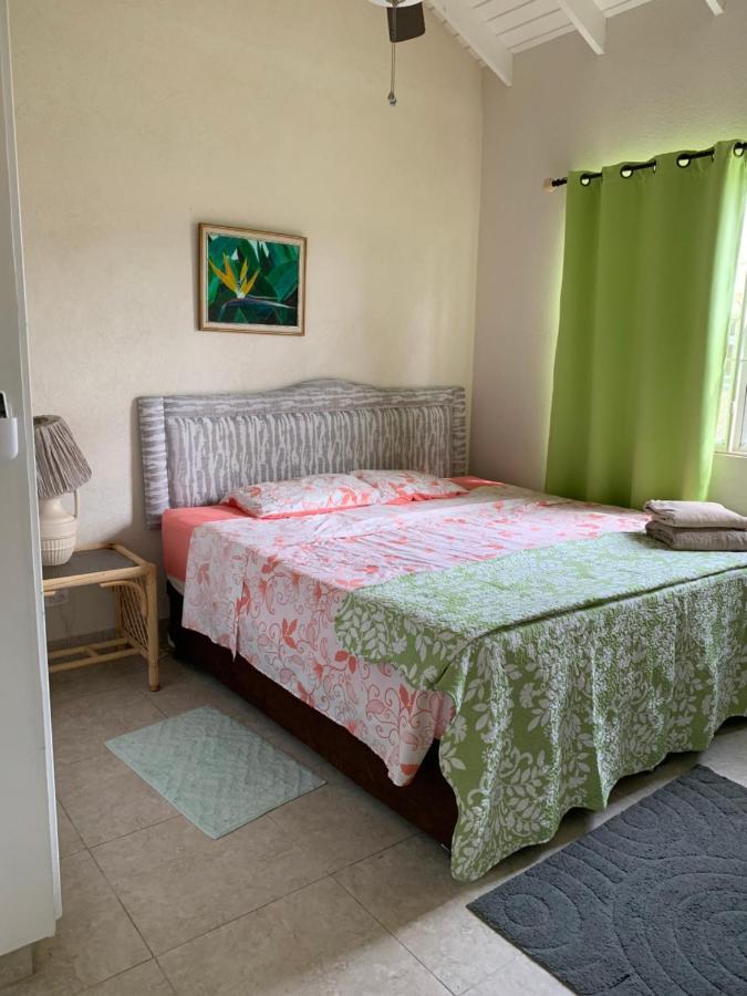 Raivens Nest Bed And Breakfast 크리스트 처치 외부 사진